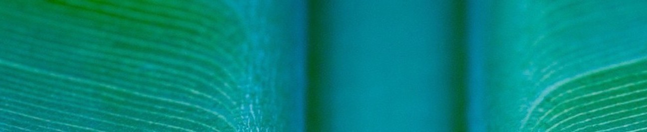 Le Jardin Intérieur ~ Nantes - Le jardin intérieur