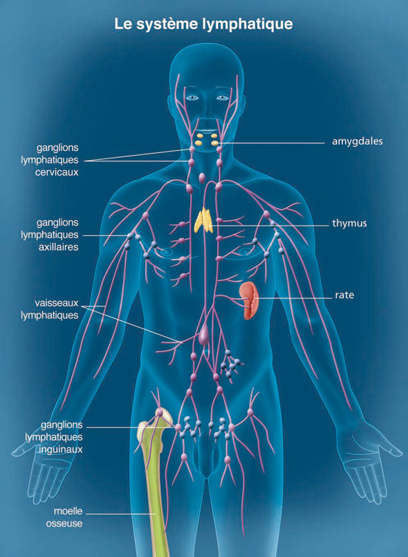 Drainage Lymphatique